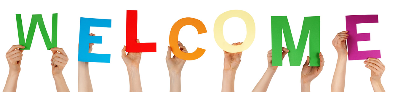 rédaction SEO